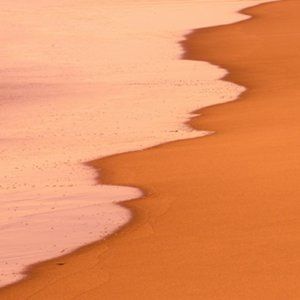 Meet your Posher, Meredith